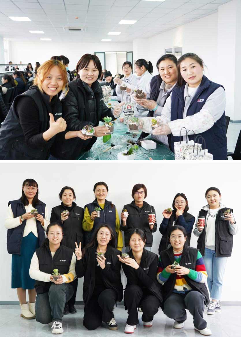 3.8 婦女節(jié)丨微景觀DIY，一起邂逅微世界里的春日—AIP艾普